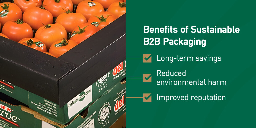 Benefits of Sustainable B2B Packaging